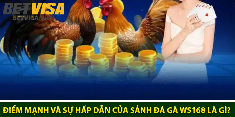 Điểm Mạnh Và Sự Hấp Dẫn Của Sảnh Đá Gà WS168 Là Gì?