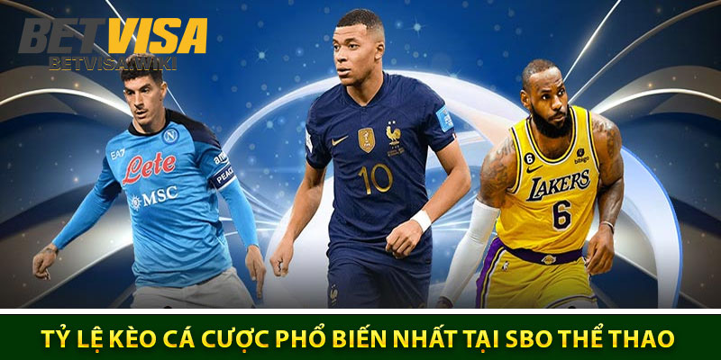 Điểm Qua Một Số Tỷ Lệ Kèo Cá Cược Phổ Biến Nhất Tại SBO Thể Thao