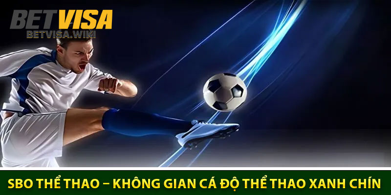 SBO The Thao – Khong Gian Ca Do The Thao Xanh Chin Uy tin