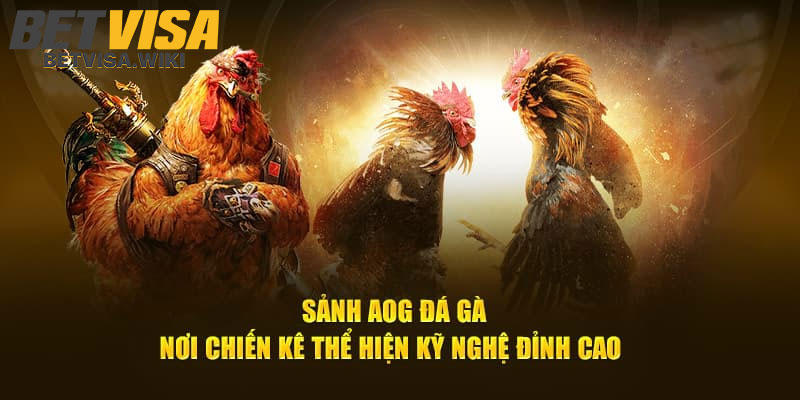Sanh Da Ga AOG – Trai Nghiem Tran Dau Kich Tinh 2024
