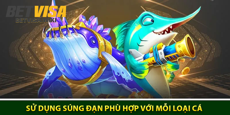 Sử Dụng Súng Đạn Phù Hợp Với Mỗi Loại Cá