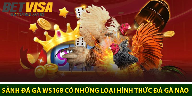 Tại Sảnh Đá Gà WS168 Có Những Loại Hình Thức Đá Gà Nào?
