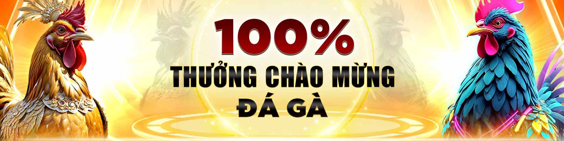 banner betvisa 001
